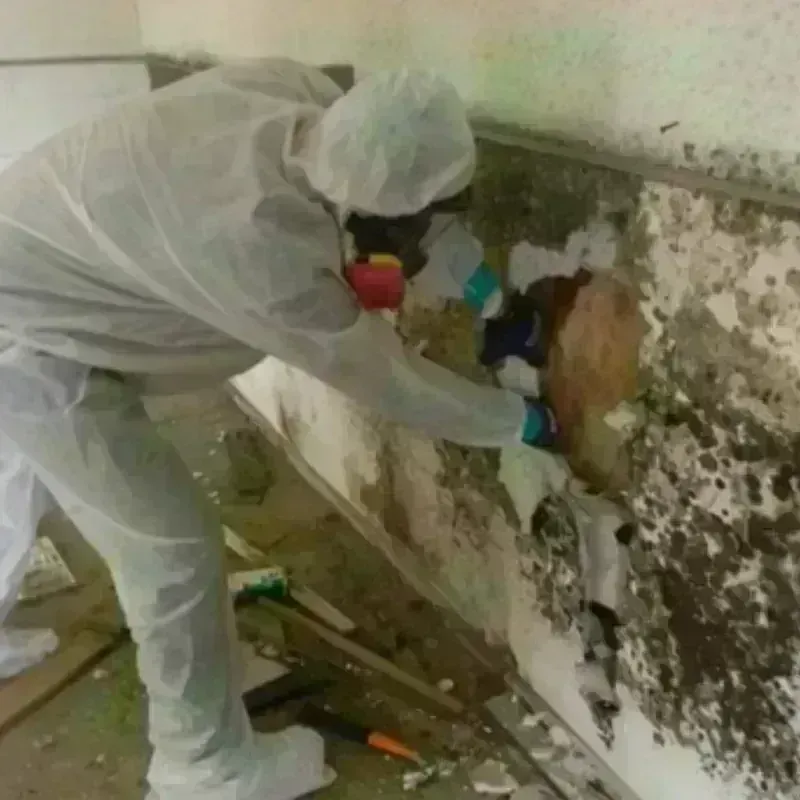 Mold Remediation and Removal in East Griffin, GA